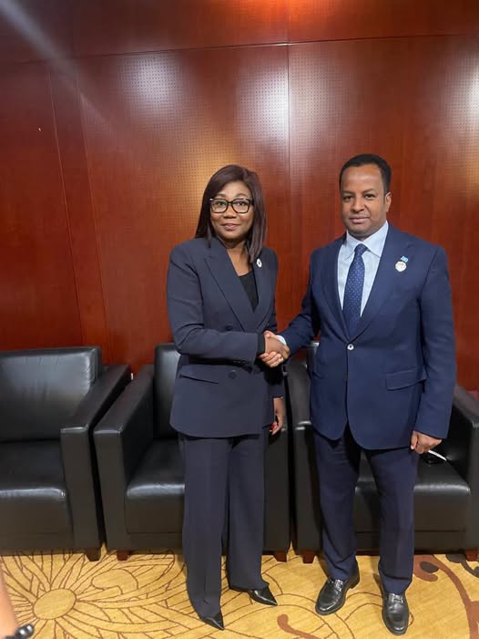 وزير الخارجية يلتقي وزيرة خارجية جمهورية أفريقيا الوسطى